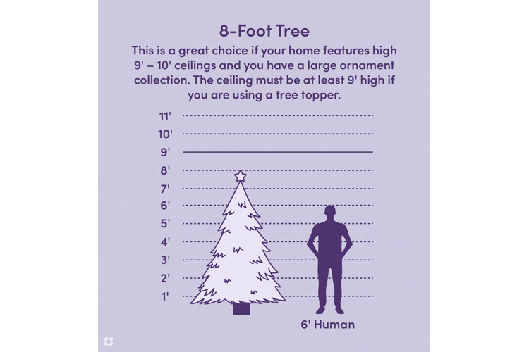 Your Guide to Christmas Tree Sizes Wayfair